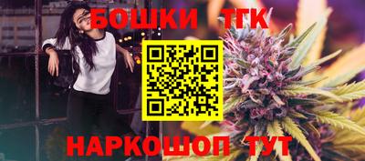МДПВ Кингисепп