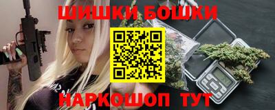 МДПВ Кингисепп